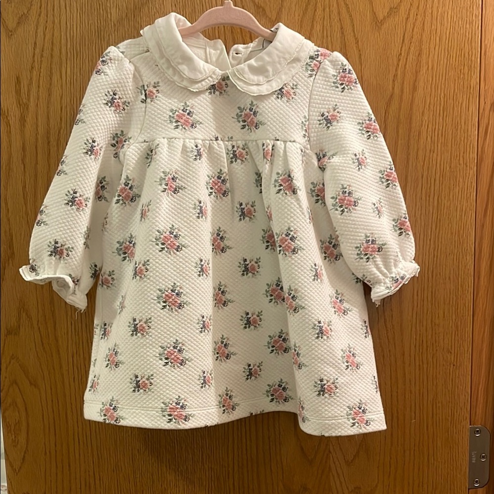 Floral Baby Dress with Peter Pan Collar
